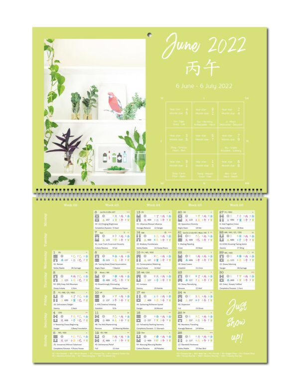 2022 Feng Shui Wall Calendar - Image 5