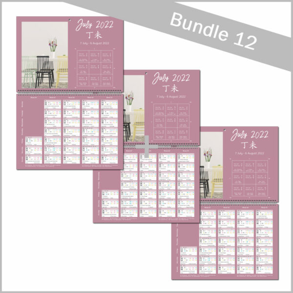 Bundle 12 - 3x 2022 Wall Calendar (3 same calendars)