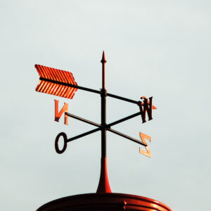 Chinese Astrology consultation