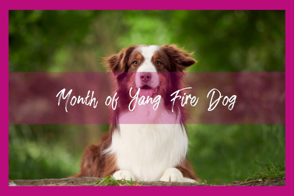 Month of dog
