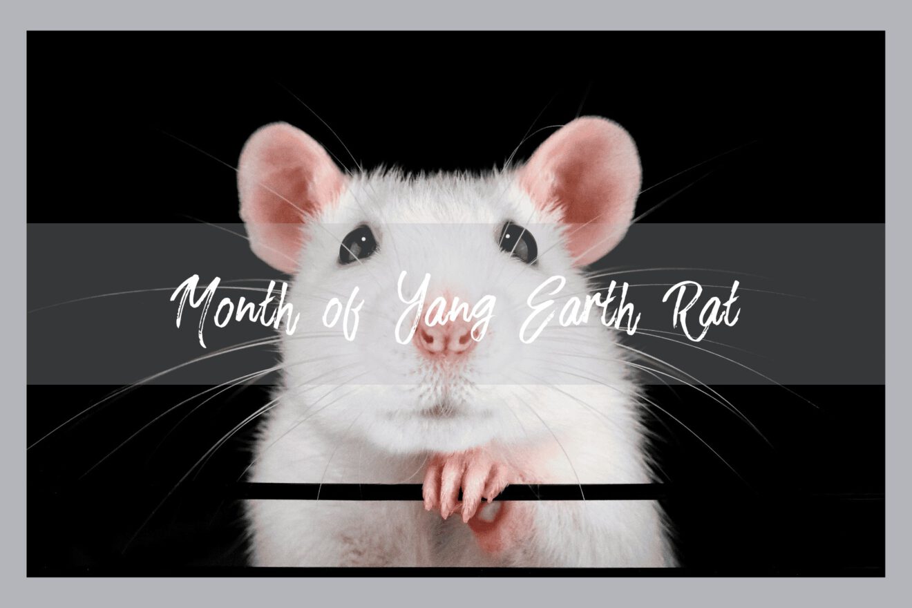 Dec Rat Month of the Rat 2025 – Feng Shui Time Dynamics for December and the ...
