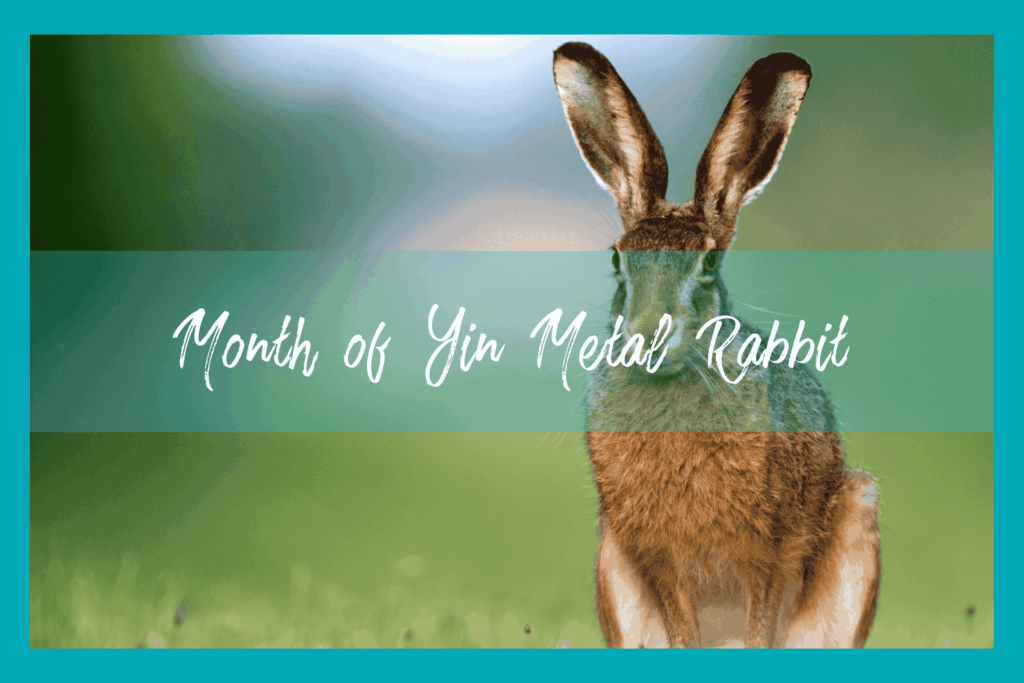 Rabbit Month