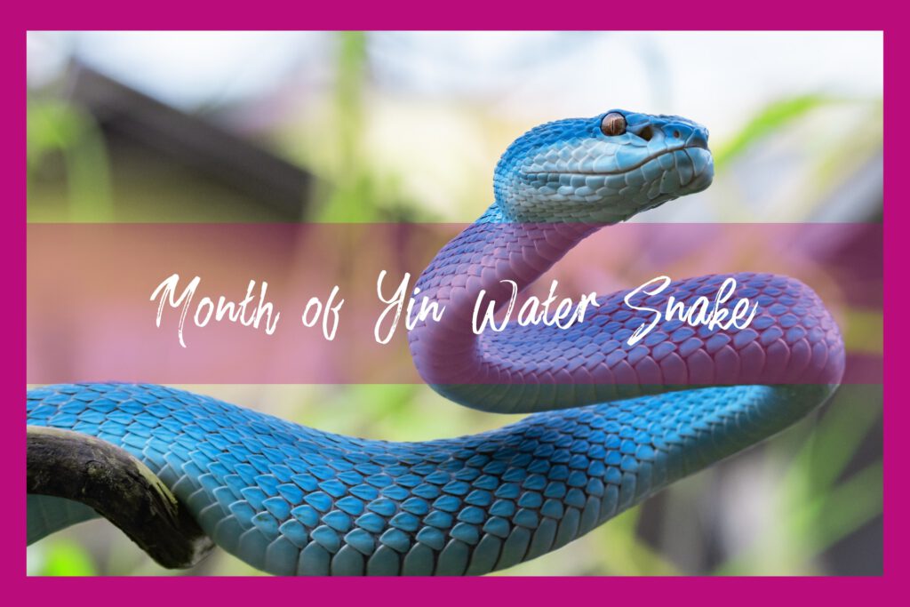 Month of snake