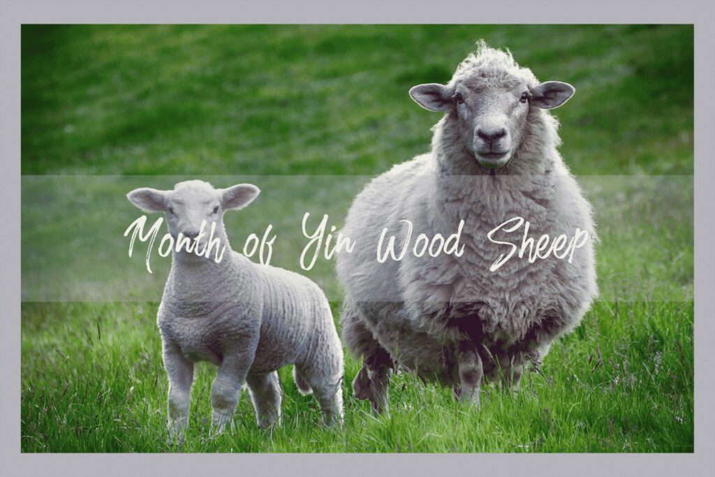 Month of the sheep