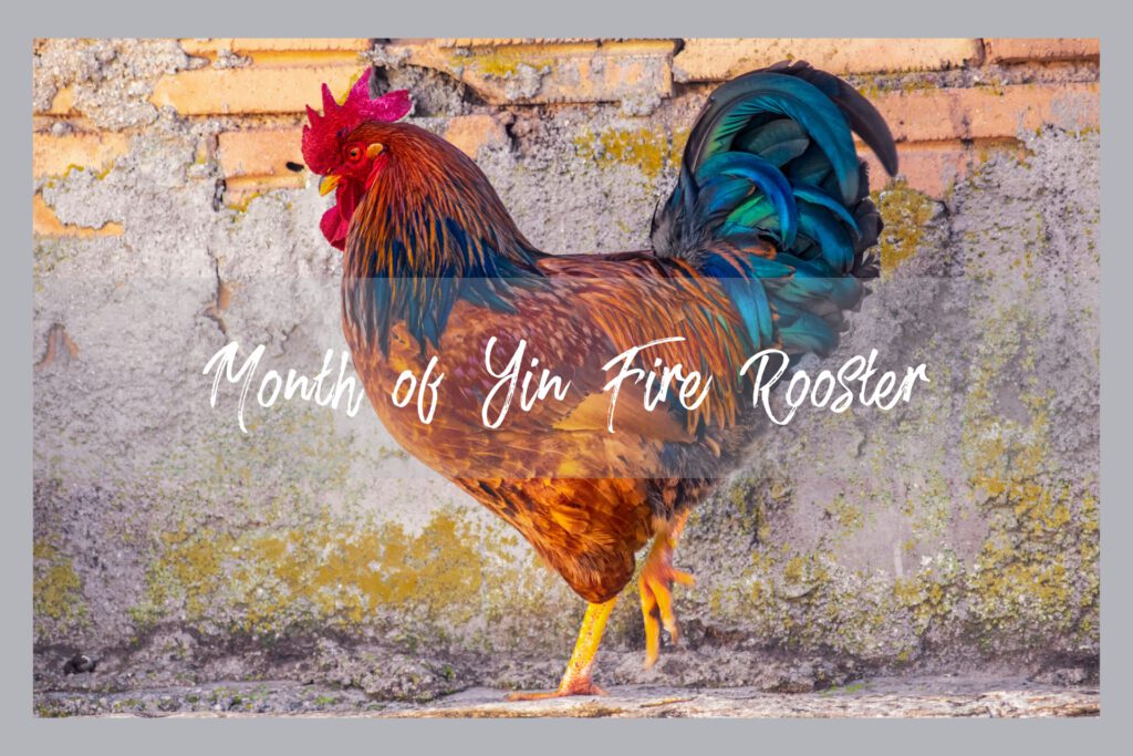 Month of rooster: tips for monthly energy